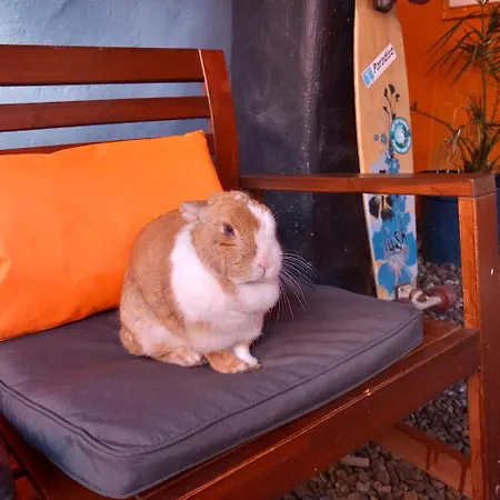 Easkey Hostel Easkey