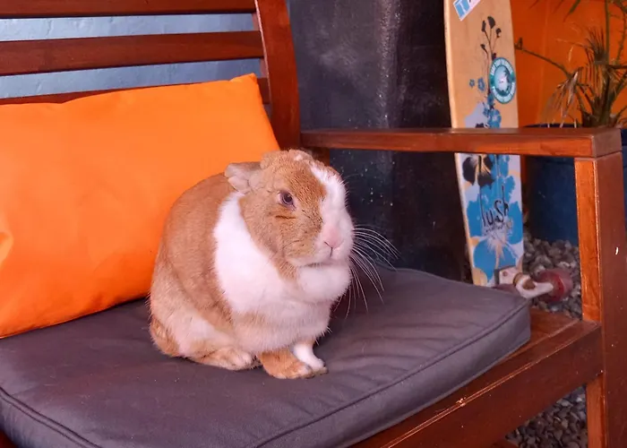 Easkey Hostel Easkey